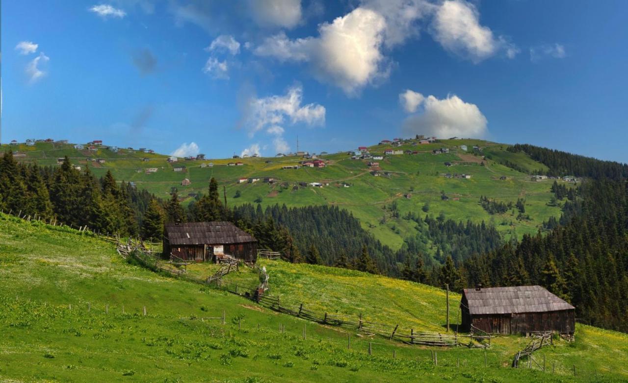 Sirt Butik Hotel Akcaabat Buitenkant foto