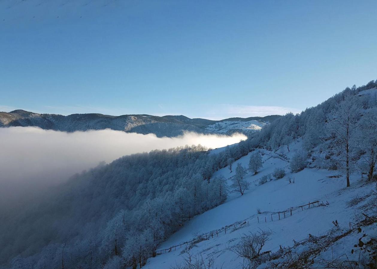 Sirt Butik Hotel Akcaabat Buitenkant foto